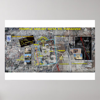 Tempelberg - Stier patroon Poster