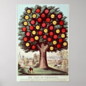 Temperatuurboom, 1872 poster (Voorkant)