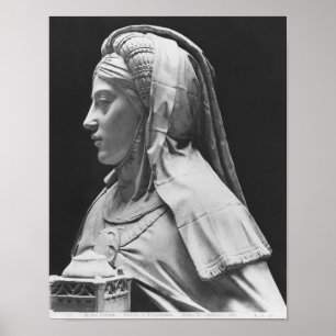 Temperatuurhoofd Poster