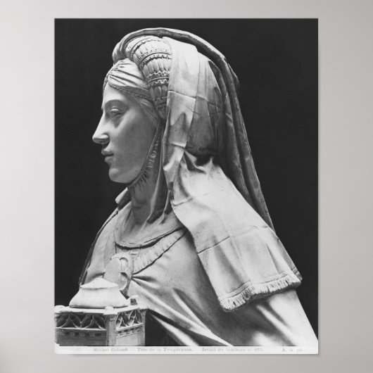 Temperatuurhoofd Poster (Voorkant)