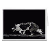 Tempérer la frontière Collie (Devant Horizontal)