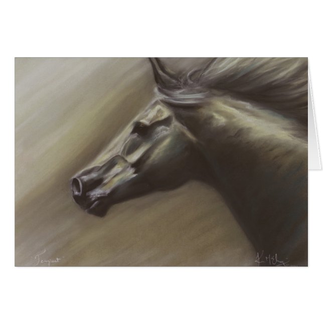 Tempest (Voorkant Horizontaal)