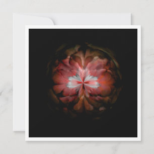 Tempest (rood)
