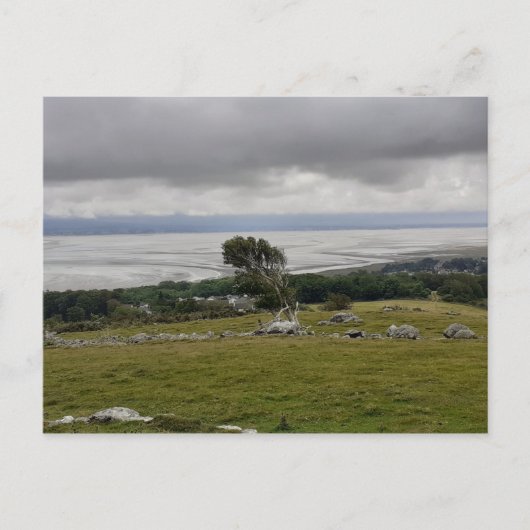 Tempête Dans La Baie Carte Postale (Devant)
