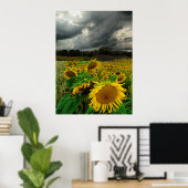 Tempête d'août, affiche (Bureau à domicile)