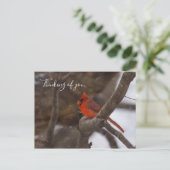 Tempête De Neige Cardinal Penser De Vous Carte Pos (Debout devant)