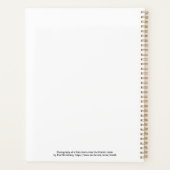 Tempête De Pluie Au-Dessus De L'Océan Atlantique (Dos)