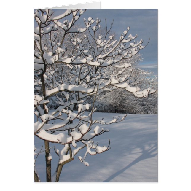 Tempête d'hiver (Devant)