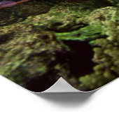 Temple De La Barrière De Corail - Poster (Coin)