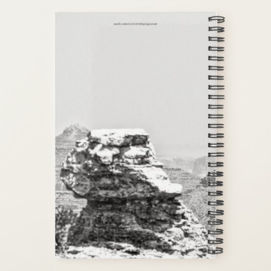 Temple de Vishnu (Dos)