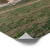 Temple of Hera I Poster (Hoek)