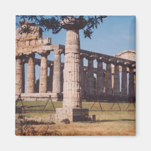 Temple of Hera Magneet