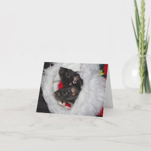 Templeton & Kerstmis Wilbur Feestdagen Kaart