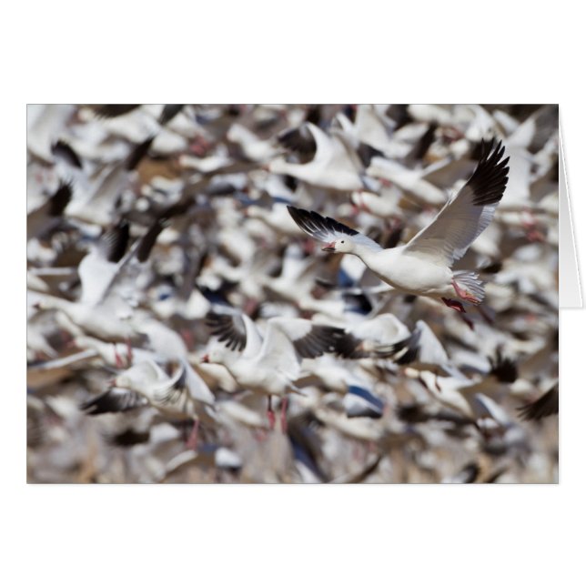 temps de pause (Devant horizontal)