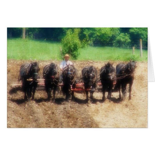 Temps de plantation (Devant horizontal)