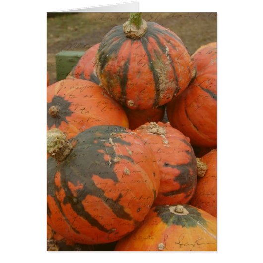 Temps de récolte (Devant)