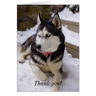 Temps De Repose Carte de remerciements