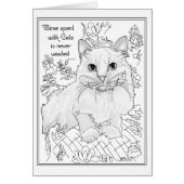 Temps passé avec des chats (Devant)