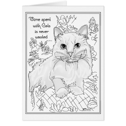 Temps passé avec des chats (Devant)