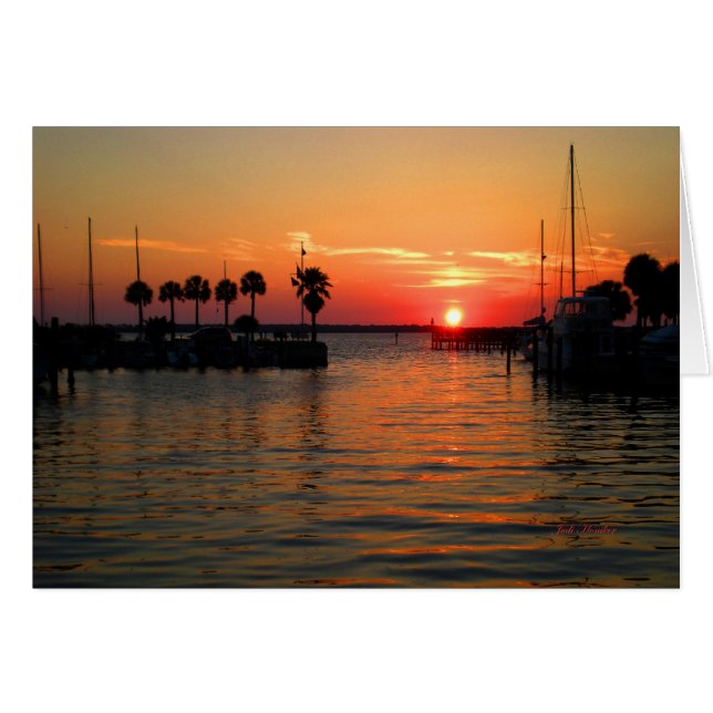 "Temps suspendu" Dunedin Marina (Devant horizontal)