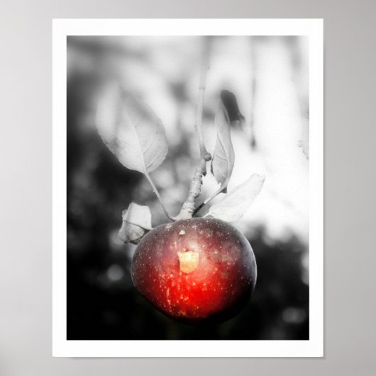 "Temptation" Apple-fotografie afdrukken Poster (Voorkant)