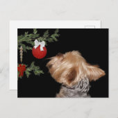 Tempted Yorkie Kerstmis Feestdagenkaart (Voorkant / Achterkant)