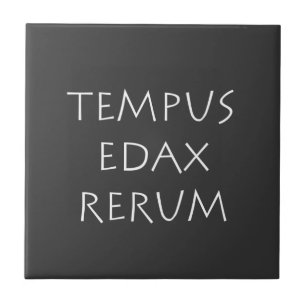 Tempus edax rerum tegeltje