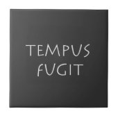 Tempus fugit tegeltje (Voorkant)