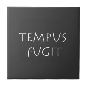 Tempus fugit tegeltje