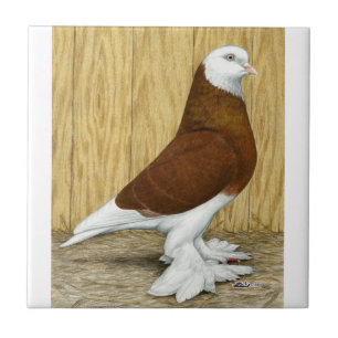 Ten westen van de Tuimelschakelaar Rode Baldhead Tegeltje