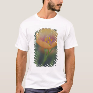 Ten zuiden van Devine Texas langs Interstate 35 T-shirt