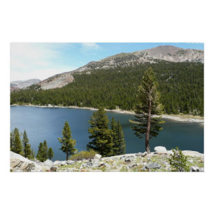 Tenaya Lake in het Nationaal Park Yosemite Perfect Poster