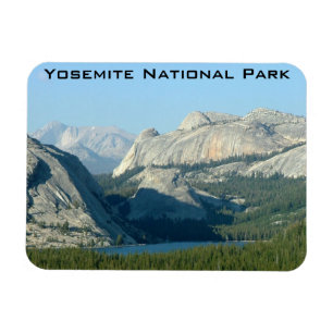 Tenaya Lake Magneet