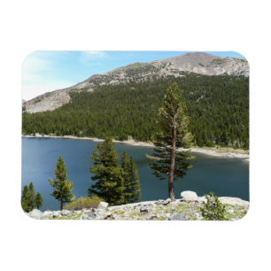 Tenaya Lake Magneet