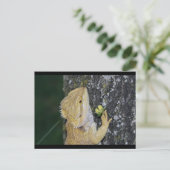 Tenchi-Briefkaart Briefkaart (Staand voorkant)