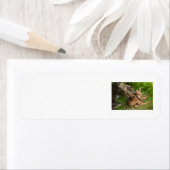 Tender Moeder Moose Etiket (Insitu)