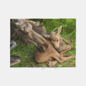 Tender Moeder Moose Fleece Deken (Voorkant (Horizontaal))