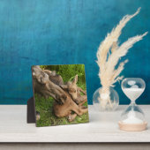 Tender Moeder Moose Fotoplaat (Insitu)