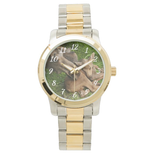 Tender Moeder Moose Horloge (Voorkant)