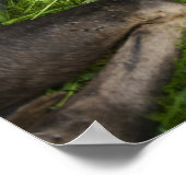 Tender Moeder Moose Poster (Hoek)