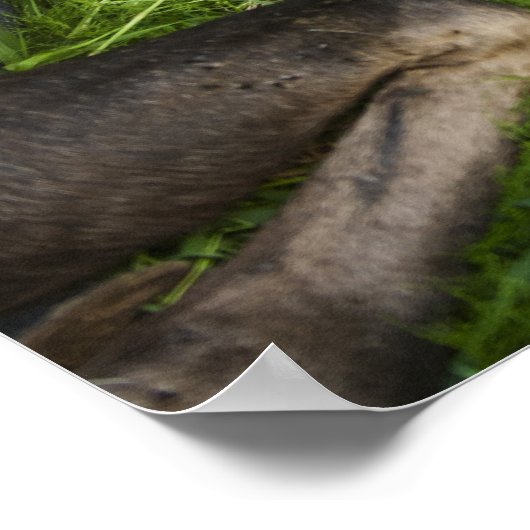 Tender Moeder Moose Poster (Hoek)