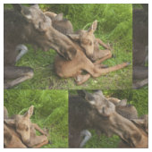 Tender Moeder Moose Stof (Close Up)