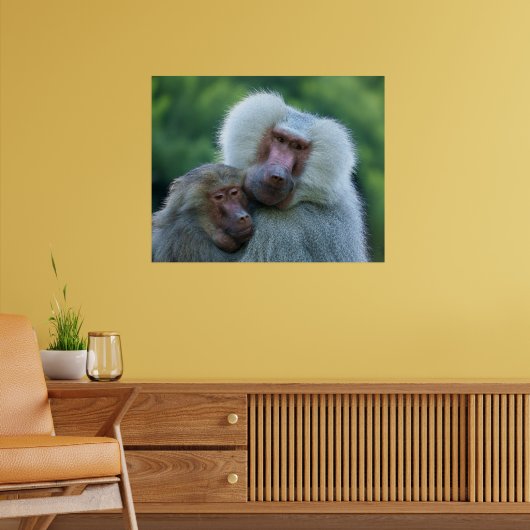 tenderbaviaanband poster (Woonkamer 2)