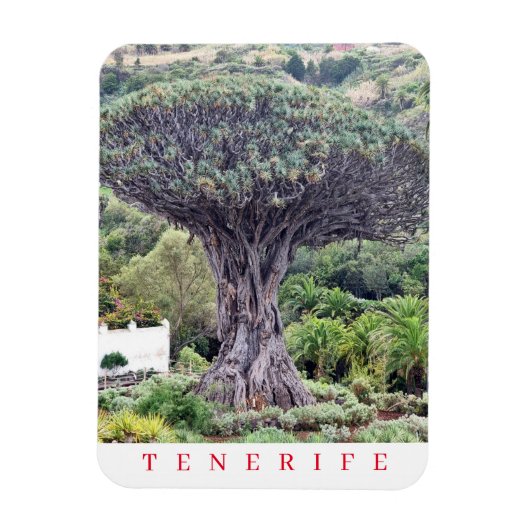 Tenerife Dragon Tree uitzicht koelkastmagneet Magneet (Verticaal)
