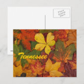 Tennessee Autumn Leaves Carte postale (Devant / Derrière)