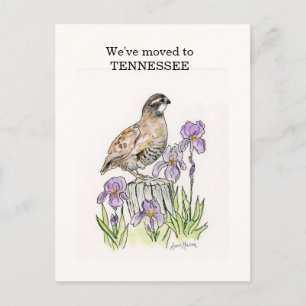 Tennessee Briefkaart