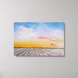 Tennessee Cotton Field Canvas Print