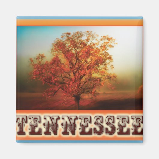 Tennessee Herfst Tree Scene Magneet (Voorkant)