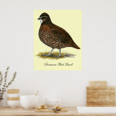 Tennessee Red Quail Poster (Keuken)