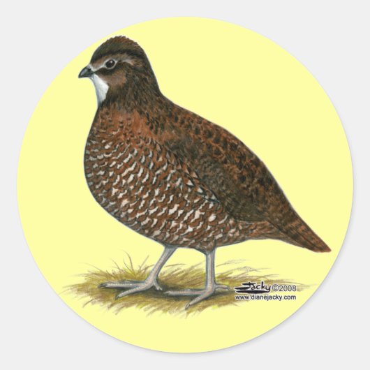 Tennessee Red Quail Ronde Sticker (Voorkant)